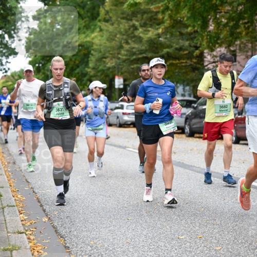 21.09.2025 - PSD Bank Halbmarathon Dr. Thomas Lammeyer http://msf.ph/oto/8934737 21.09.2025 10:57:06 Laufen 3813, 3631, 8, 399, 3682, 6 meine-sportfotos.de