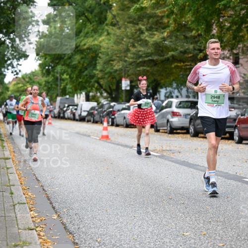 21.09.2025 - PSD Bank Halbmarathon Dr. Thomas Lammeyer http://msf.ph/oto/8934901 21.09.2025 10:57:26 Laufen 5, 2948, 4915 meine-sportfotos.de