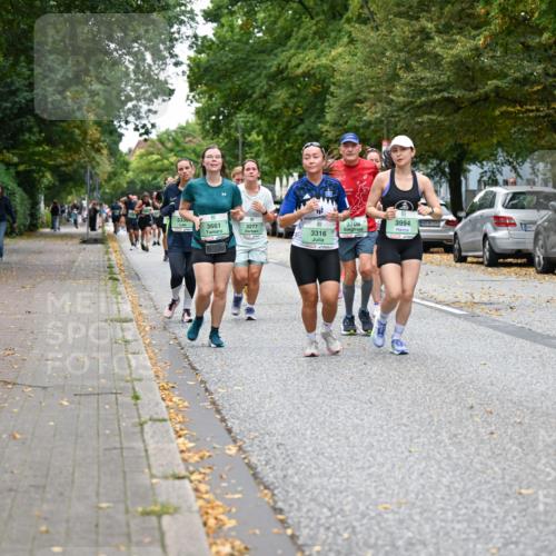 21.09.2025 - PSD Bank Halbmarathon Dr. Thomas Lammeyer http://msf.ph/oto/8935090 21.09.2025 10:57:54 Laufen 333, 3661, 3277, 3316, 3709, 3994 meine-sportfotos.de