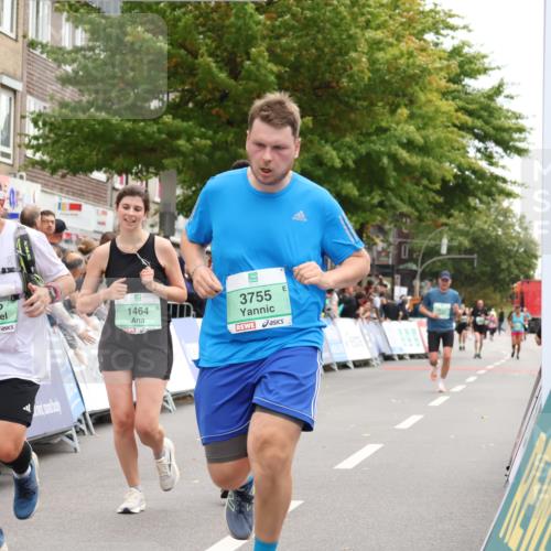 21.09.2025 - PSD Bank Halbmarathon Strokosch-Dieckow http://msf.ph/oto/8935193 21.09.2025 12:34:32 Ziel 1464, 3435, 3755, 3953 meine-sportfotos.de