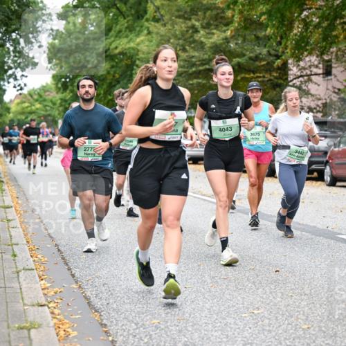 21.09.2025 - PSD Bank Halbmarathon Dr. Thomas Lammeyer http://msf.ph/oto/8935229 21.09.2025 10:58:10 Laufen 2772, 4043, 1595, 3675, 3442, 4015 meine-sportfotos.de