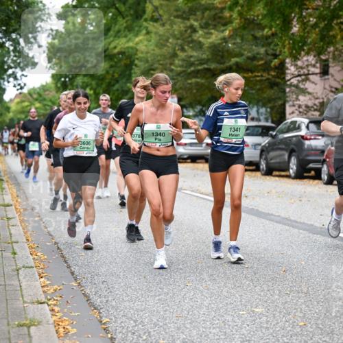 21.09.2025 - PSD Bank Halbmarathon Dr. Thomas Lammeyer http://msf.ph/oto/8935437 21.09.2025 10:58:33 Laufen 3606, 378, 1340, 9, 1341, 3621 meine-sportfotos.de