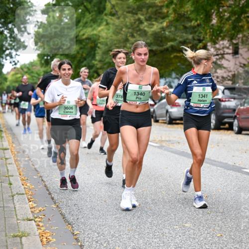 21.09.2025 - PSD Bank Halbmarathon Dr. Thomas Lammeyer http://msf.ph/oto/8935444 21.09.2025 10:58:33 Laufen 5, 1340, 378, 9, 3606, 1341, 3621 meine-sportfotos.de