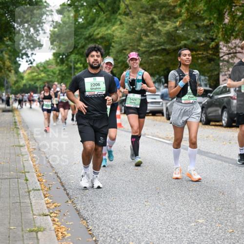 21.09.2025 - PSD Bank Halbmarathon Dr. Thomas Lammeyer http://msf.ph/oto/8935795 21.09.2025 10:59:40 Laufen 2206, 365, 3421, 3660, 3745 meine-sportfotos.de