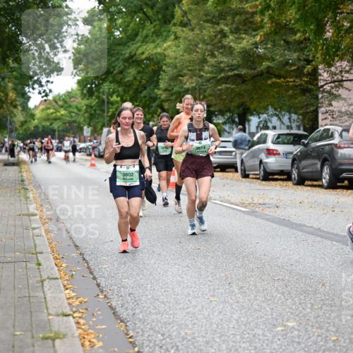 21.09.2025 - PSD Bank Halbmarathon Dr. Thomas Lammeyer http://msf.ph/oto/8935827 21.09.2025 10:59:45 Laufen 3802, 3818, 3614, 3401 meine-sportfotos.de