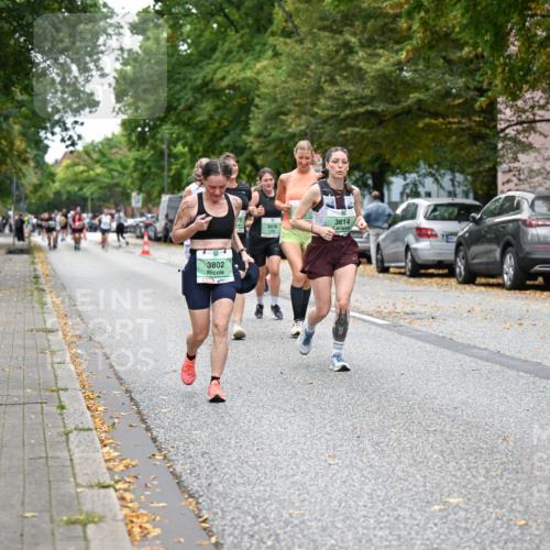 21.09.2025 - PSD Bank Halbmarathon Dr. Thomas Lammeyer http://msf.ph/oto/8935829 21.09.2025 10:59:45 Laufen 3802, 3614, 3818, 3 meine-sportfotos.de
