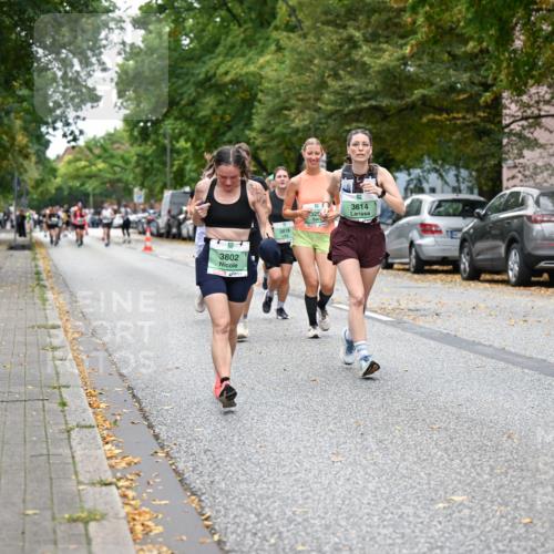 21.09.2025 - PSD Bank Halbmarathon Dr. Thomas Lammeyer http://msf.ph/oto/8935831 21.09.2025 10:59:45 Laufen 3802, 3614, 325, 3818 meine-sportfotos.de
