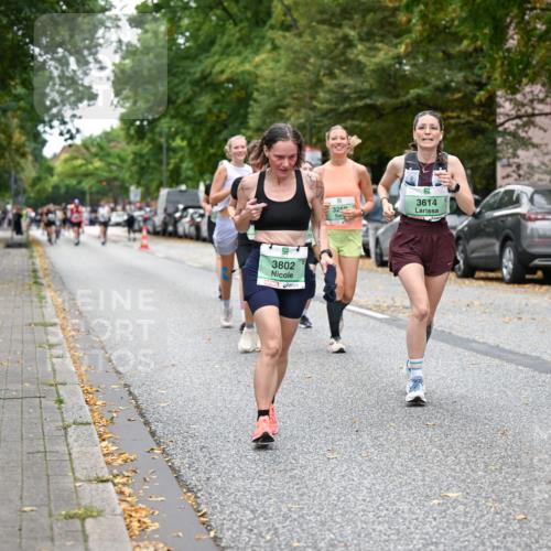 21.09.2025 - PSD Bank Halbmarathon Dr. Thomas Lammeyer http://msf.ph/oto/8935833 21.09.2025 10:59:46 Laufen 3802, 3250, 3614 meine-sportfotos.de