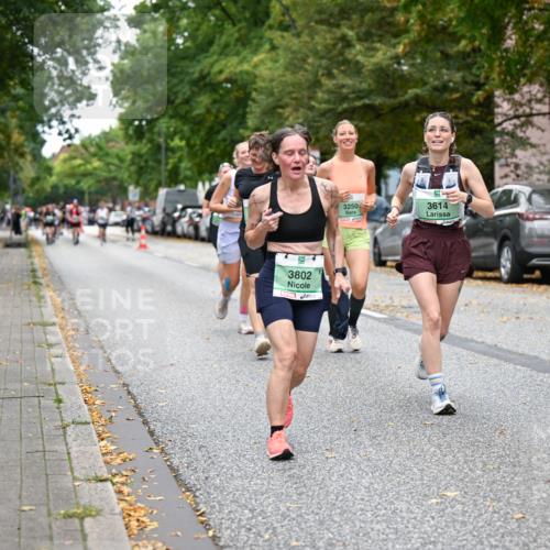 21.09.2025 - PSD Bank Halbmarathon Dr. Thomas Lammeyer http://msf.ph/oto/8935834 21.09.2025 10:59:46 Laufen 3802, 3250, 3614 meine-sportfotos.de