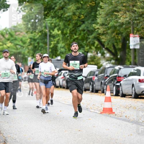 21.09.2025 - PSD Bank Halbmarathon Dr. Thomas Lammeyer http://msf.ph/oto/8936016 21.09.2025 11:00:34 Laufen 3797, 3673, 34, 905, 3799 meine-sportfotos.de