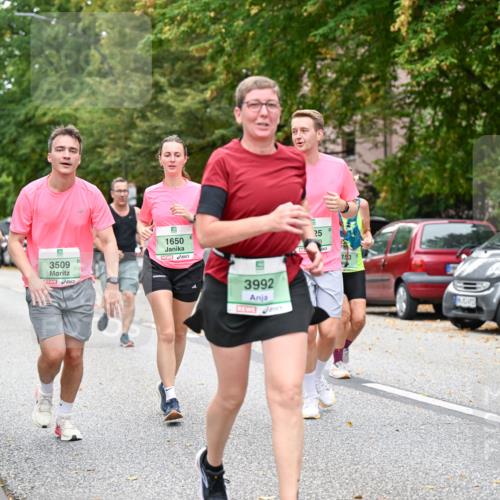 21.09.2025 - PSD Bank Halbmarathon Dr. Thomas Lammeyer http://msf.ph/oto/8936301 21.09.2025 11:01:32 Laufen 5, 3509, 1650, 3992, 25, 153 meine-sportfotos.de