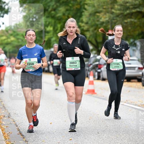 21.09.2025 - PSD Bank Halbmarathon Dr. Thomas Lammeyer http://msf.ph/oto/8936495 21.09.2025 11:02:20 Laufen 1558, 3883, 1155 meine-sportfotos.de