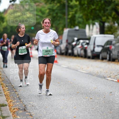 21.09.2025 - PSD Bank Halbmarathon Dr. Thomas Lammeyer http://msf.ph/oto/8936639 21.09.2025 11:02:56 Laufen 1744, 3816 meine-sportfotos.de