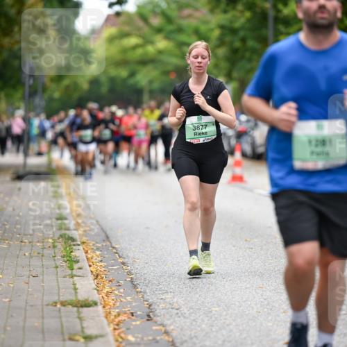 21.09.2025 - PSD Bank Halbmarathon Dr. Thomas Lammeyer http://msf.ph/oto/8936737 21.09.2025 11:03:15 Laufen 3877, 1201 meine-sportfotos.de