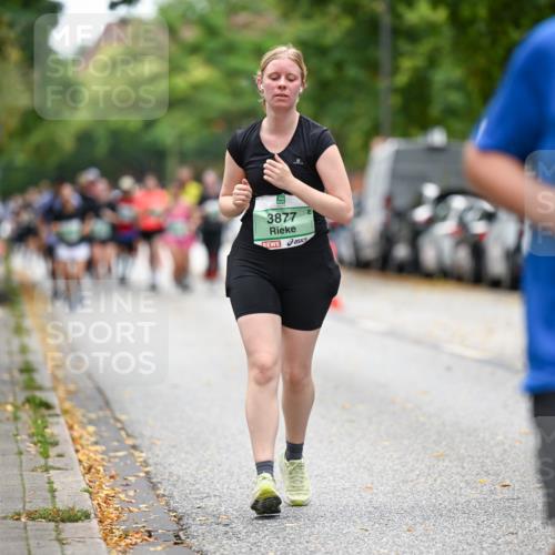 21.09.2025 - PSD Bank Halbmarathon Dr. Thomas Lammeyer http://msf.ph/oto/8936742 21.09.2025 11:03:17 Laufen 3877, 1001 meine-sportfotos.de