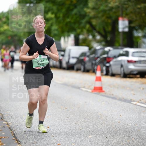 21.09.2025 - PSD Bank Halbmarathon Dr. Thomas Lammeyer http://msf.ph/oto/8936756 21.09.2025 11:03:19 Laufen 3877 meine-sportfotos.de