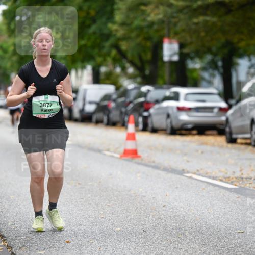 21.09.2025 - PSD Bank Halbmarathon Dr. Thomas Lammeyer http://msf.ph/oto/8936759 21.09.2025 11:03:19 Laufen 3877 meine-sportfotos.de