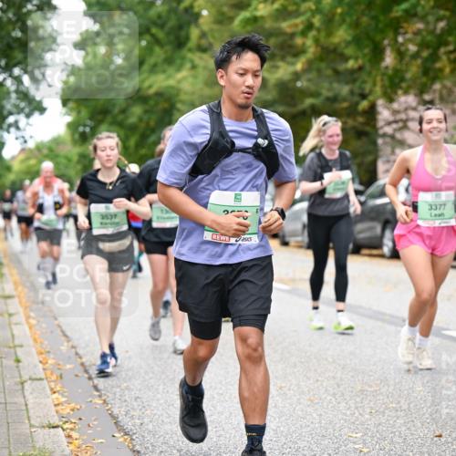21.09.2025 - PSD Bank Halbmarathon Dr. Thomas Lammeyer http://msf.ph/oto/8936840 21.09.2025 11:03:41 Laufen 3537, 130, 2010, 3377 meine-sportfotos.de