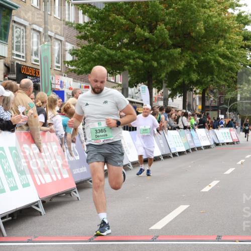 21.09.2025 - PSD Bank Halbmarathon Strokosch-Dieckow http://msf.ph/oto/8938011 21.09.2025 12:39:08 Ziel 3197, 3280, 3365 meine-sportfotos.de