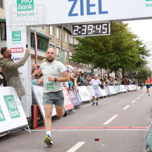 21.09.2025 - PSD Bank Halbmarathon Strokosch-Dieckow http://msf.ph/oto/8938012 21.09.2025 12:39:08 Ziel 3197, 3280, 3365 meine-sportfotos.de