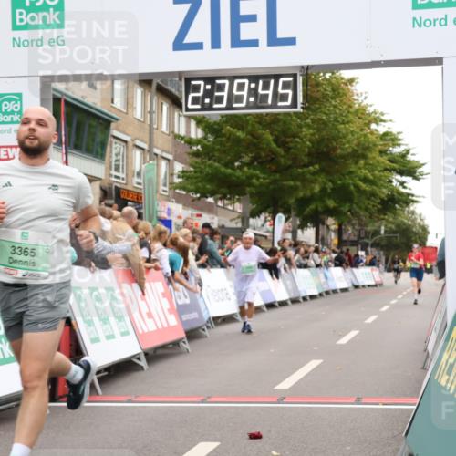 21.09.2025 - PSD Bank Halbmarathon Strokosch-Dieckow http://msf.ph/oto/8938013 21.09.2025 12:39:09 Ziel 3197, 3280, 3365 meine-sportfotos.de