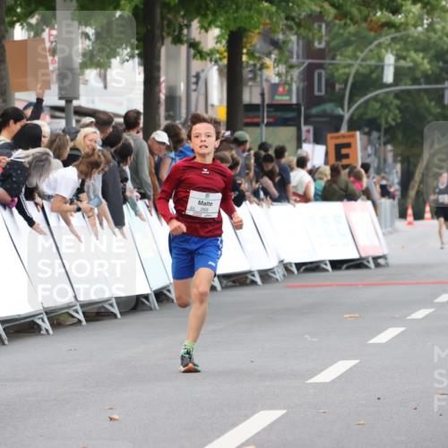 21.09.2025 - PSD Bank Halbmarathon Strokosch-Dieckow http://msf.ph/oto/8938800 21.09.2025 10:25:41 Ziel 206, 268 meine-sportfotos.de