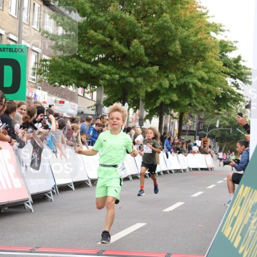 21.09.2025 - PSD Bank Halbmarathon Strokosch-Dieckow http://msf.ph/oto/8938845 21.09.2025 10:26:29 Ziel 120, 207, 211, 334, 384 meine-sportfotos.de