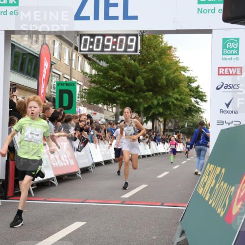 21.09.2025 - PSD Bank Halbmarathon Strokosch-Dieckow http://msf.ph/oto/8938853 21.09.2025 10:26:41 Ziel 111, 347, 348 meine-sportfotos.de