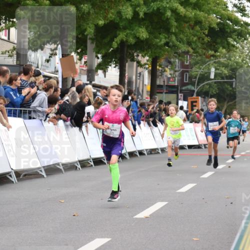 21.09.2025 - PSD Bank Halbmarathon Strokosch-Dieckow http://msf.ph/oto/8938857 21.09.2025 10:26:43 Ziel 111, 347, 348, 379 meine-sportfotos.de