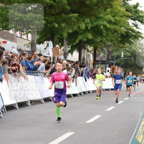 21.09.2025 - PSD Bank Halbmarathon Strokosch-Dieckow http://msf.ph/oto/8938858 21.09.2025 10:26:44 Ziel 111, 297, 347, 348, 379, 396 meine-sportfotos.de