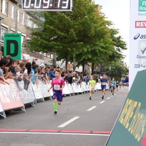 21.09.2025 - PSD Bank Halbmarathon Strokosch-Dieckow http://msf.ph/oto/8938859 21.09.2025 10:26:44 Ziel 111, 297, 347, 348, 379, 396 meine-sportfotos.de