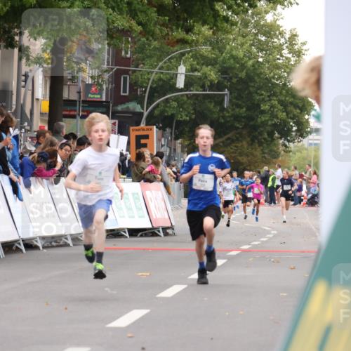 21.09.2025 - PSD Bank Halbmarathon Strokosch-Dieckow http://msf.ph/oto/8938889 21.09.2025 10:27:06 Ziel 209, 210, 222, 225, 283, 358, 360 meine-sportfotos.de