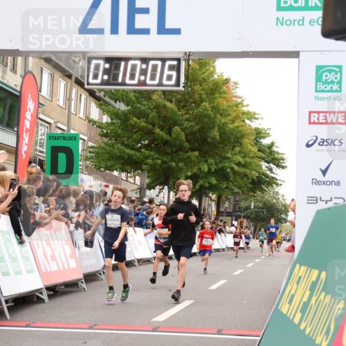 21.09.2025 - PSD Bank Halbmarathon Strokosch-Dieckow http://msf.ph/oto/8938919 21.09.2025 10:27:38 Ziel 101, 128, 247, 249, 292, 341, 342, 391 meine-sportfotos.de