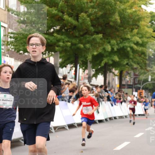 21.09.2025 - PSD Bank Halbmarathon Strokosch-Dieckow http://msf.ph/oto/8938922 21.09.2025 10:27:39 Ziel 101, 247, 249, 292, 341, 342, 391, 399 meine-sportfotos.de