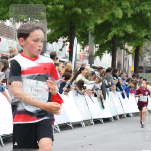 21.09.2025 - PSD Bank Halbmarathon Strokosch-Dieckow http://msf.ph/oto/8938924 21.09.2025 10:27:40 Ziel 101, 247, 249, 341, 342, 391, 399 meine-sportfotos.de