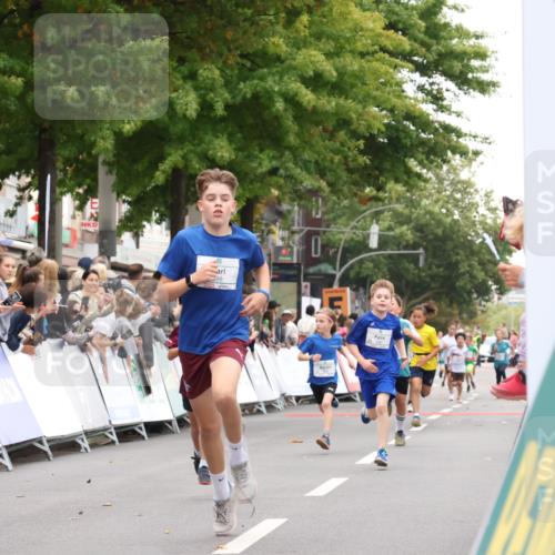 21.09.2025 - PSD Bank Halbmarathon Strokosch-Dieckow http://msf.ph/oto/8938927 21.09.2025 10:27:42 Ziel 101, 107, 249, 262, 341, 342, 391, 392, 399 meine-sportfotos.de