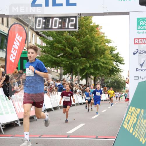 21.09.2025 - PSD Bank Halbmarathon Strokosch-Dieckow http://msf.ph/oto/8938931 21.09.2025 10:27:44 Ziel 107, 149, 249, 262, 341, 342, 391, 392, 399 meine-sportfotos.de