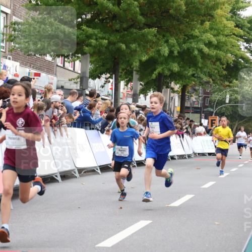 21.09.2025 - PSD Bank Halbmarathon Strokosch-Dieckow http://msf.ph/oto/8938933 21.09.2025 10:27:45 Ziel 107, 149, 249, 262, 341, 342, 391, 392, 399 meine-sportfotos.de