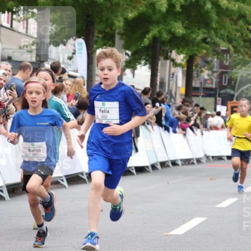 21.09.2025 - PSD Bank Halbmarathon Strokosch-Dieckow http://msf.ph/oto/8938935 21.09.2025 10:27:46 Ziel 107, 149, 249, 262, 341, 342, 391, 392, 399, 436 meine-sportfotos.de