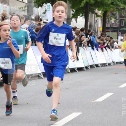 21.09.2025 - PSD Bank Halbmarathon Strokosch-Dieckow http://msf.ph/oto/8938936 21.09.2025 10:27:46 Ziel 107, 149, 249, 262, 341, 342, 391, 392, 399, 436 meine-sportfotos.de