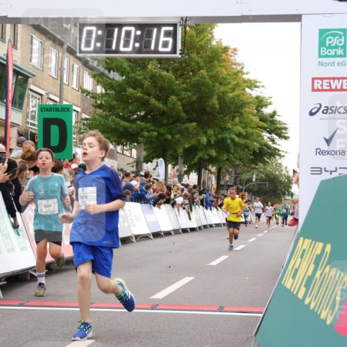 21.09.2025 - PSD Bank Halbmarathon Strokosch-Dieckow http://msf.ph/oto/8938939 21.09.2025 10:27:47 Ziel 107, 149, 262, 341, 342, 362, 391, 392, 399, 436 meine-sportfotos.de