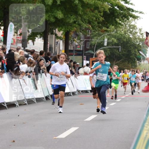 21.09.2025 - PSD Bank Halbmarathon Strokosch-Dieckow http://msf.ph/oto/8938945 21.09.2025 10:27:53 Ziel 107, 144, 149, 262, 354, 362, 367, 392, 436 meine-sportfotos.de
