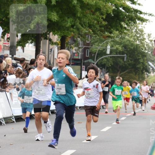 21.09.2025 - PSD Bank Halbmarathon Strokosch-Dieckow http://msf.ph/oto/8938946 21.09.2025 10:27:54 Ziel 144, 149, 262, 354, 362, 367, 392, 436, 451 meine-sportfotos.de