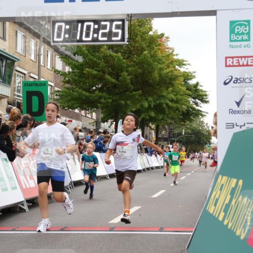 21.09.2025 - PSD Bank Halbmarathon Strokosch-Dieckow http://msf.ph/oto/8938951 21.09.2025 10:27:57 Ziel 144, 203, 354, 362, 367, 401, 436, 451 meine-sportfotos.de