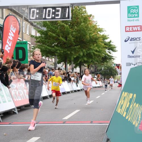 21.09.2025 - PSD Bank Halbmarathon Strokosch-Dieckow http://msf.ph/oto/8938962 21.09.2025 10:28:03 Ziel 144, 203, 241, 254, 289, 354, 367, 401, 451 meine-sportfotos.de