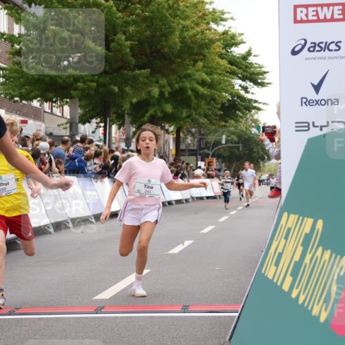21.09.2025 - PSD Bank Halbmarathon Strokosch-Dieckow http://msf.ph/oto/8938963 21.09.2025 10:28:03 Ziel 144, 203, 241, 254, 289, 354, 367, 401, 451 meine-sportfotos.de