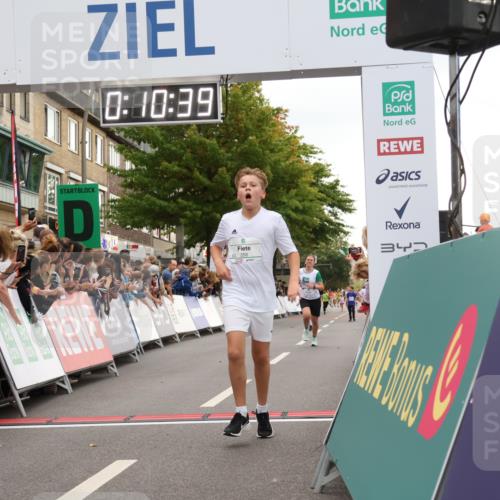 21.09.2025 - PSD Bank Halbmarathon Strokosch-Dieckow http://msf.ph/oto/8938976 21.09.2025 10:28:11 Ziel 241, 253, 289, 356, 411, 442 meine-sportfotos.de