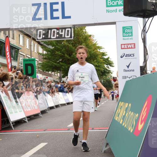 21.09.2025 - PSD Bank Halbmarathon Strokosch-Dieckow http://msf.ph/oto/8938978 21.09.2025 10:28:12 Ziel 220, 253, 288, 356, 411, 442 meine-sportfotos.de