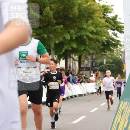 21.09.2025 - PSD Bank Halbmarathon Strokosch-Dieckow http://msf.ph/oto/8938979 21.09.2025 10:28:14 Ziel 220, 253, 288, 356, 411, 442 meine-sportfotos.de