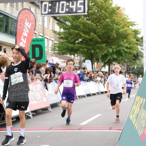 21.09.2025 - PSD Bank Halbmarathon Strokosch-Dieckow http://msf.ph/oto/8938984 21.09.2025 10:28:17 Ziel 213, 220, 253, 288, 356, 411, 442 meine-sportfotos.de